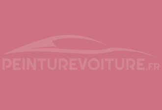 Code peinture Ral Design System 010 60 40 Rouge