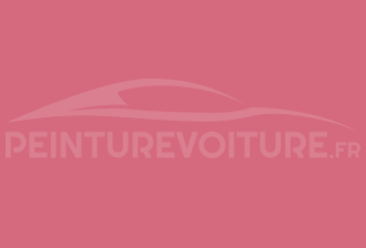 Code peinture Ral Design System 010 60 45 Rouge