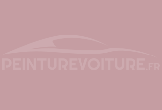 Code peinture Ral Design System 010 70 15 Rose
