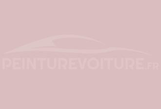 Code peinture Ral Design System 010 80 10 Rose