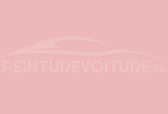 Code peinture Ral Design System 010 80 20 Rose