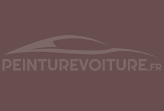 Code peinture Ral Design System 020 40 10 Violet