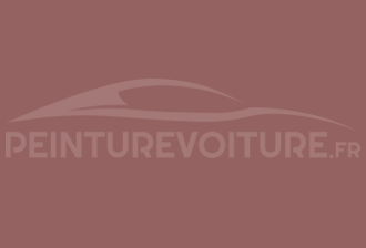 Code peinture Ral Design System 020 50 20 Marron