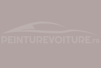 Code peinture Ral Design System 020 70 05 Gris