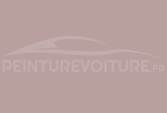 Code peinture Ral Design System 020 70 10 Rose