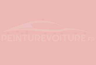 Code peinture Ral Design System 020 80 20 Rose