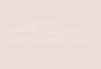 Code peinture Ral Design System 020 90 05 Rose