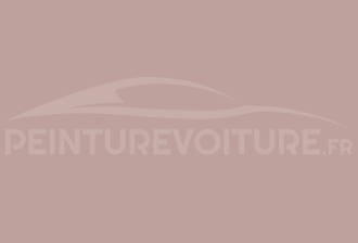 Code peinture Ral Design System 030 70 10 Rose