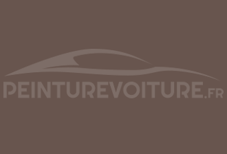 Code peinture Ral Design System 040 40 10 Marron