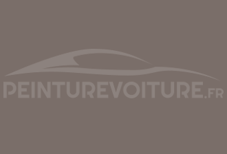 Code peinture Ral Design System 040 50 05 Gris