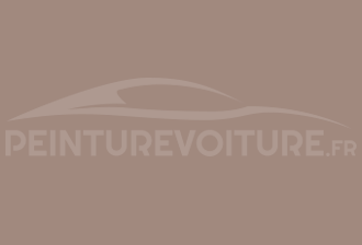 Code peinture Ral Design System 040 60 10 Gris
