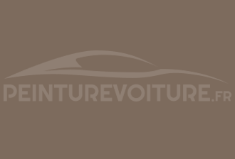 Code peinture Ral Design System 060 50 10 Marron