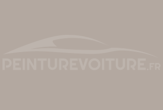 Code peinture Ral Design System 060 70 05 Gris