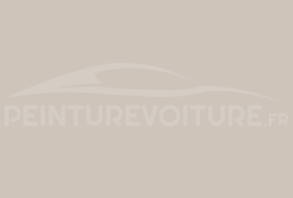 Code peinture Ral Design System 060 80 05 Gris