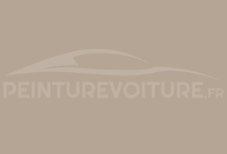 Code peinture Ral Design System 070 70 10 Gris