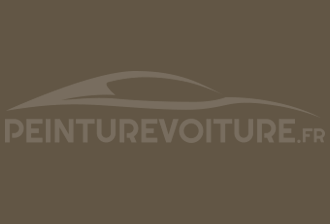 Code peinture Ral Design System 080 40 10 Gris