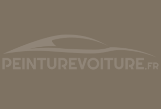 Code peinture Ral Design System 080 50 10 Gris