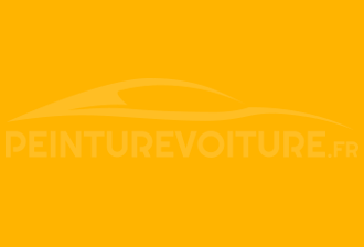 Code peinture Ral Design System 080 80 90 Jaune