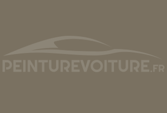 Code peinture Ral Design System 090 50 10 Gris