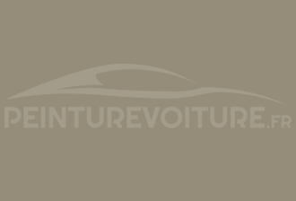 Code peinture Ral Design System 090 60 10 Gris