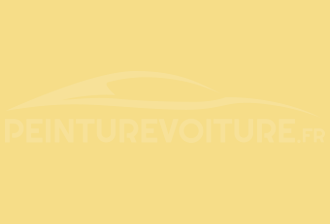 Code peinture Ral Design System 095 90 40 Jaune