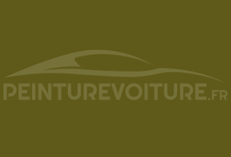 Code peinture Ral Design System 100 40 40 Vert