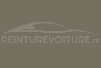 Code peinture Ral Design System 100 50 10 Gris