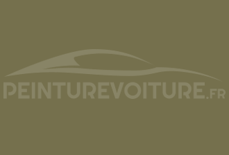 Code peinture Ral Design System 100 50 20 Vert