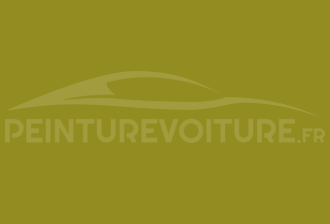 Code peinture Ral Design System 100 60 50 Vert