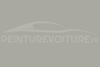 Code peinture Ral Design System 100 70 05 Gris