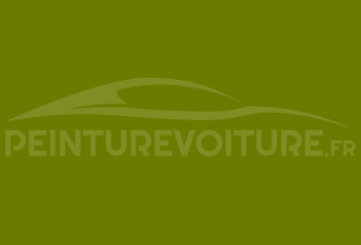 Code peinture Ral Design System 110 50 55 Vert