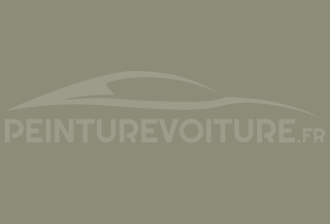 Code peinture Ral Design System 110 60 10 Gris Vert