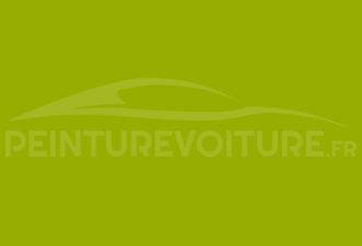 Code peinture Ral Design System 110 70 77 Vert