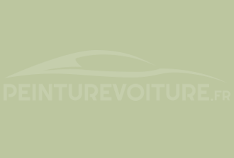 Code peinture Ral Design System 120 80 20 Vert
