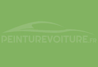 Code peinture Ral Design System 130 70 50 Vert