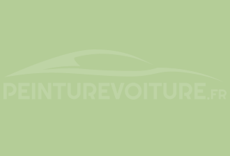 Code peinture Ral Design System 130 80 30 Vert