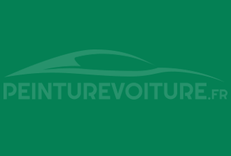 Code peinture Ral Design System 160 50 45 Vert