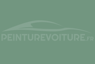 Code peinture Ral Design System 160 60 20 Vert