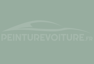 Code peinture Ral Design System 160 70 10 Vert