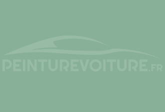 Code peinture Ral Design System 160 70 20 Vert