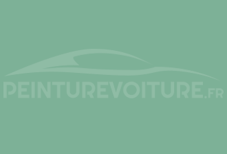 Code peinture Ral Design System 160 70 25 Vert