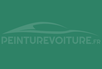 Code peinture Ral Design System 170 50 30 Vert