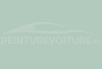 Code peinture Ral Design System 170 80 10 Vert