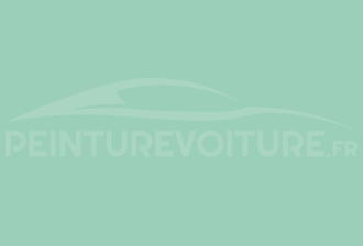 Code peinture Ral Design System 170 80 20 Vert
