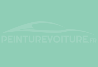 Code peinture Ral Design System 170 80 25 Vert