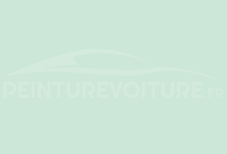 Code peinture Ral Design System 170 90 10 Vert