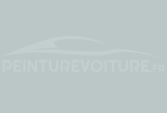 Code peinture Ral Design System 220 80 05 Gris