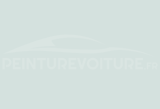 Code peinture Ral Design System 230 90 05 Gris