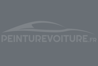 Code peinture Ral Design System 260 50 05 Gris