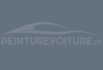 Code peinture Ral Design System 260 50 10 Gris